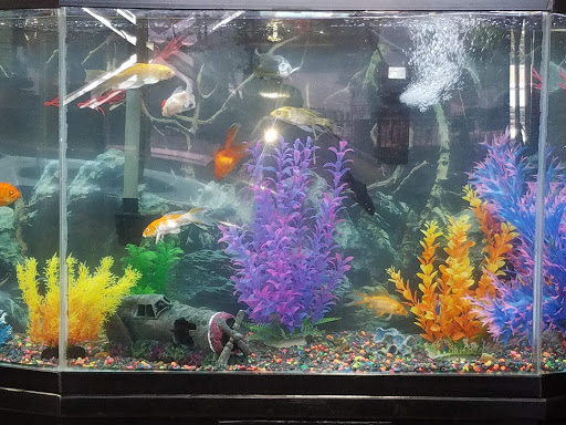 Tattoo Shop «Brown Pride Tattoos», reviews and photos, 6213 S Main St, Los Angeles, CA 90003, USA