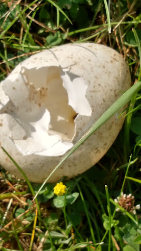 Nature Preserve «Leonard Preserve», reviews and photos, N Union St, Manchester, MI 48158, USA