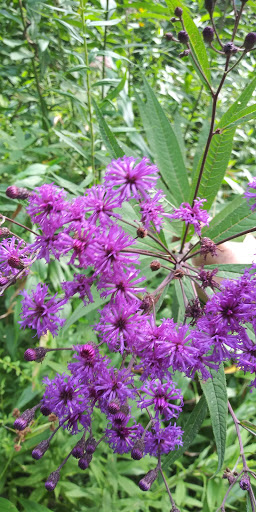 Nature Preserve «Reinstein Woods Nature Preserve», reviews and photos, 93 Honorine Dr, Depew, NY 14043, USA