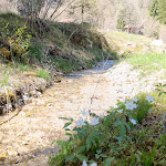 Photo n°4 de l'avis de nadika.1 fait le 11/04/2024 à 07:26 sur le  Orsera Val Canzoi à Cesiomaggiore