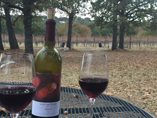 Winery «Westcave Cellars Winery», reviews and photos, 25711 Hamilton Pool Rd, Round Mountain, TX 78663, USA