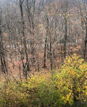 The Lodge at Spruce Peak - photo 64