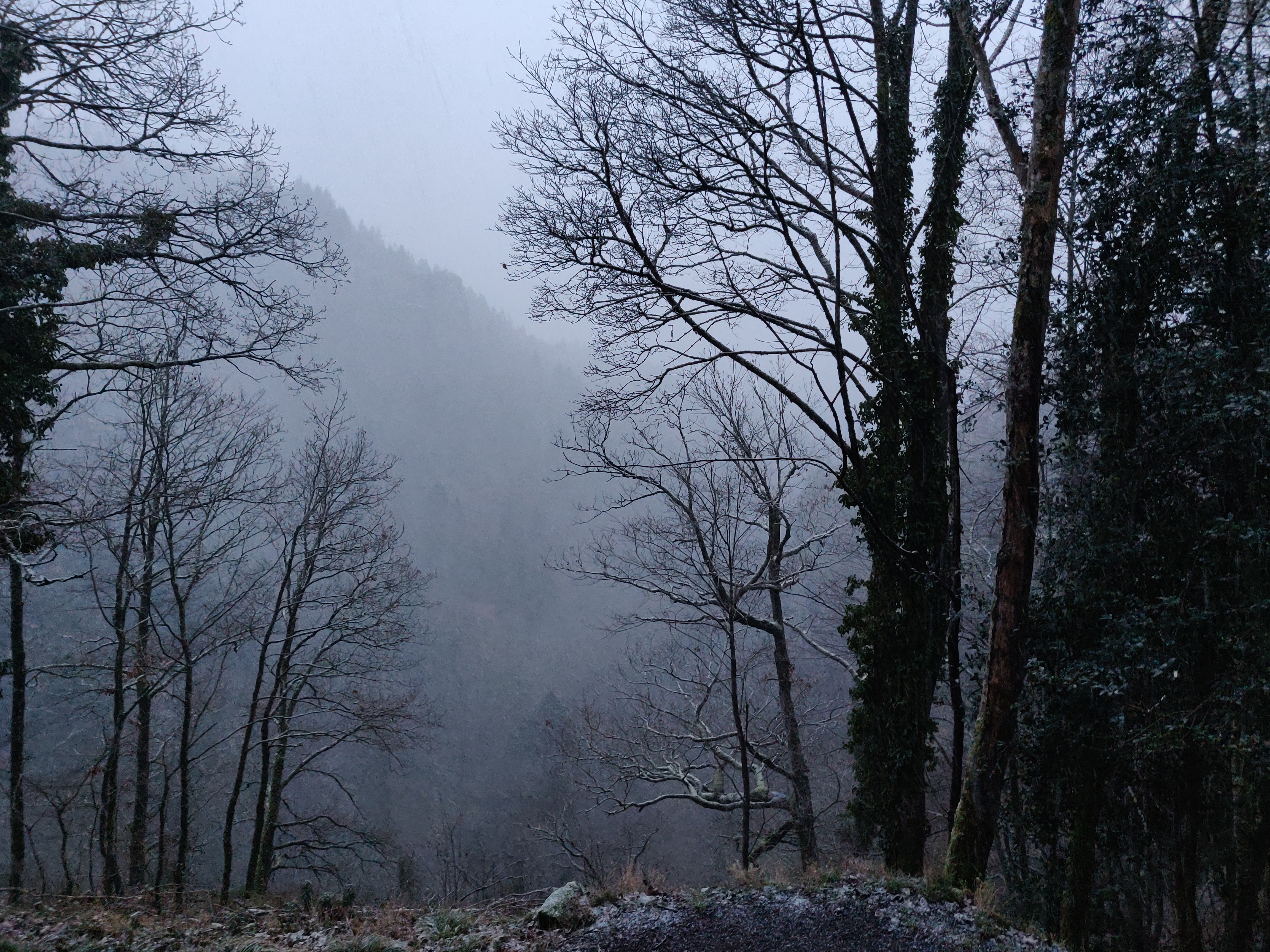 Photo n° 1 de l'avis de Adeline.o fait le 07/01/2022 à 17:47