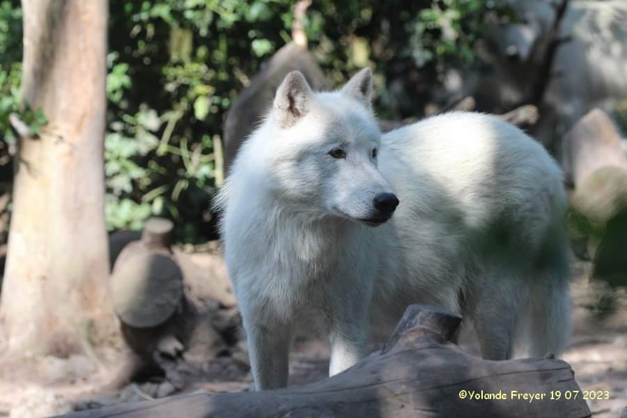 Photo n° 7 de l'avis de yolande.r fait le 24/10/2023 à 19:03