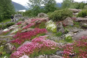 Arctic–Alpine Botanic Garden image