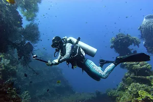 Nusantara Dive Bali 巴厘岛潜水 image