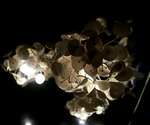 Home Improvement Store «Surplus Warehouse», reviews and photos, 10717 Harry Hines Blvd, Dallas, TX 75220, USA