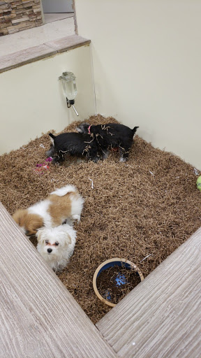 Pet Store «The Pet Shop», reviews and photos, 1988 MacArthur Rd, Whitehall, PA 18052, USA