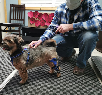 Canine Aquafitness & Veterinary Rehab Centre Okotoks