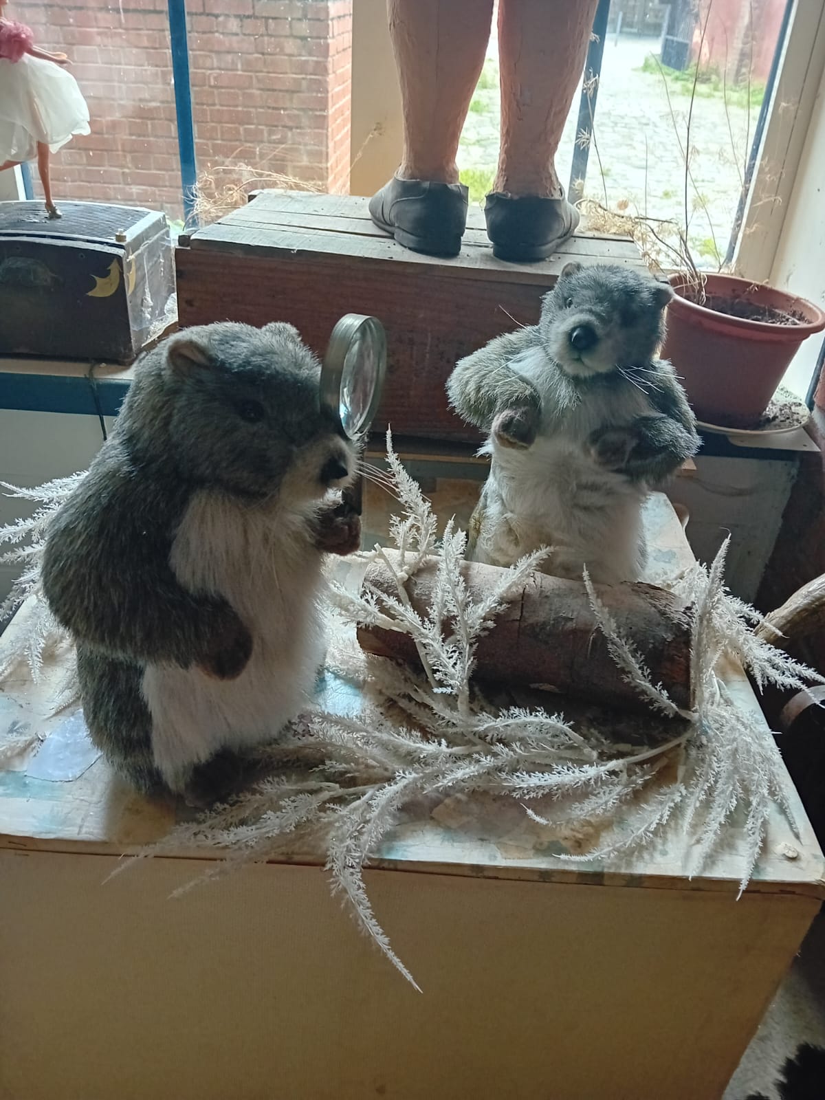 Photo n° 9 de l'avis de Sheila.r fait le 11/08/2023 à 14:08