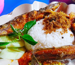 Warung Nasi Bebek Sinjaya photo