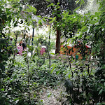 Photo n°7 de l'avis de Luca.o fait le 29/06/2020 à 11:41 sur le  Due Cigni Il Ristorante à Montecosaro Scalo