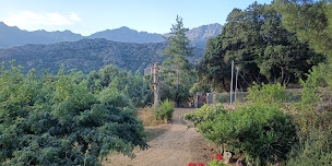 Photo n°8 de Pizzéria chez René à Muro ()