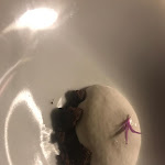 Photo n°7 de l'avis de Giada.e fait le 15/10/2020 à 09:50 sur le  FUEL Ristorante à Rubano