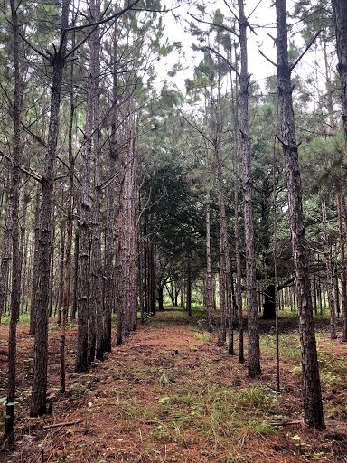 Nature Preserve «Duette Preserve», reviews and photos, 2649 Rawls Rd, Parrish, FL 34219, USA