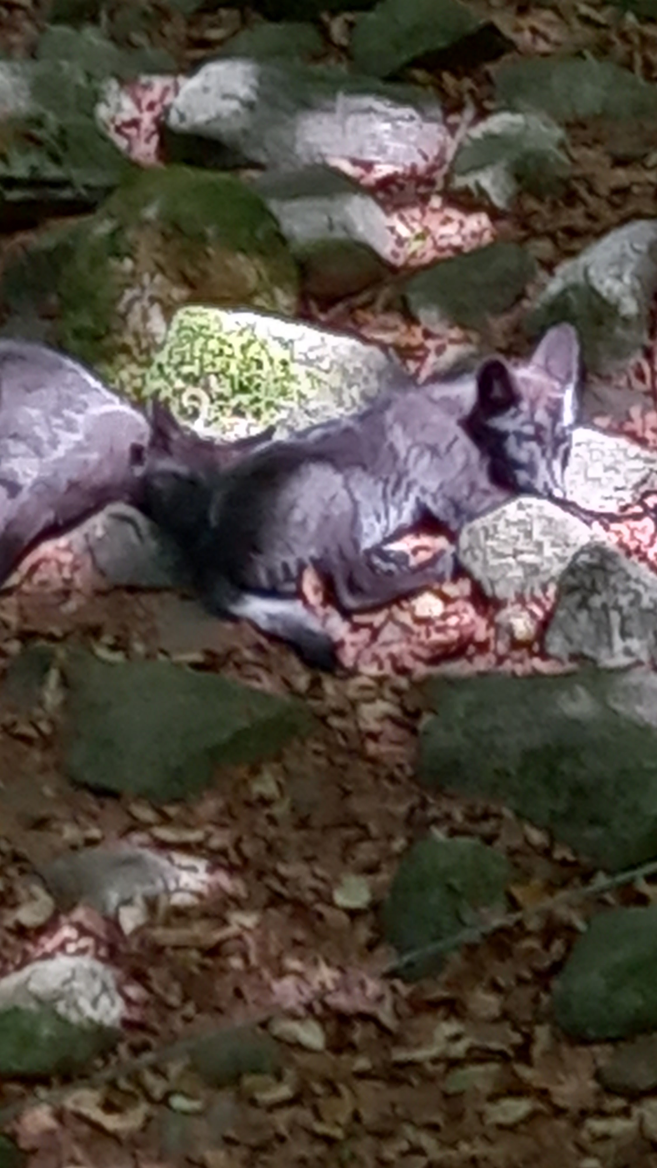 Photo n° 3 de l'avis de HENRY.O fait le 27/07/2022 à 15:59