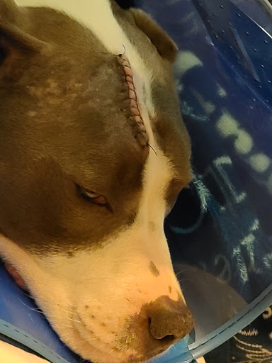 Pet Supply Store «PetSmart», reviews and photos, 11331 Causeway Blvd, Brandon, FL 33511, USA