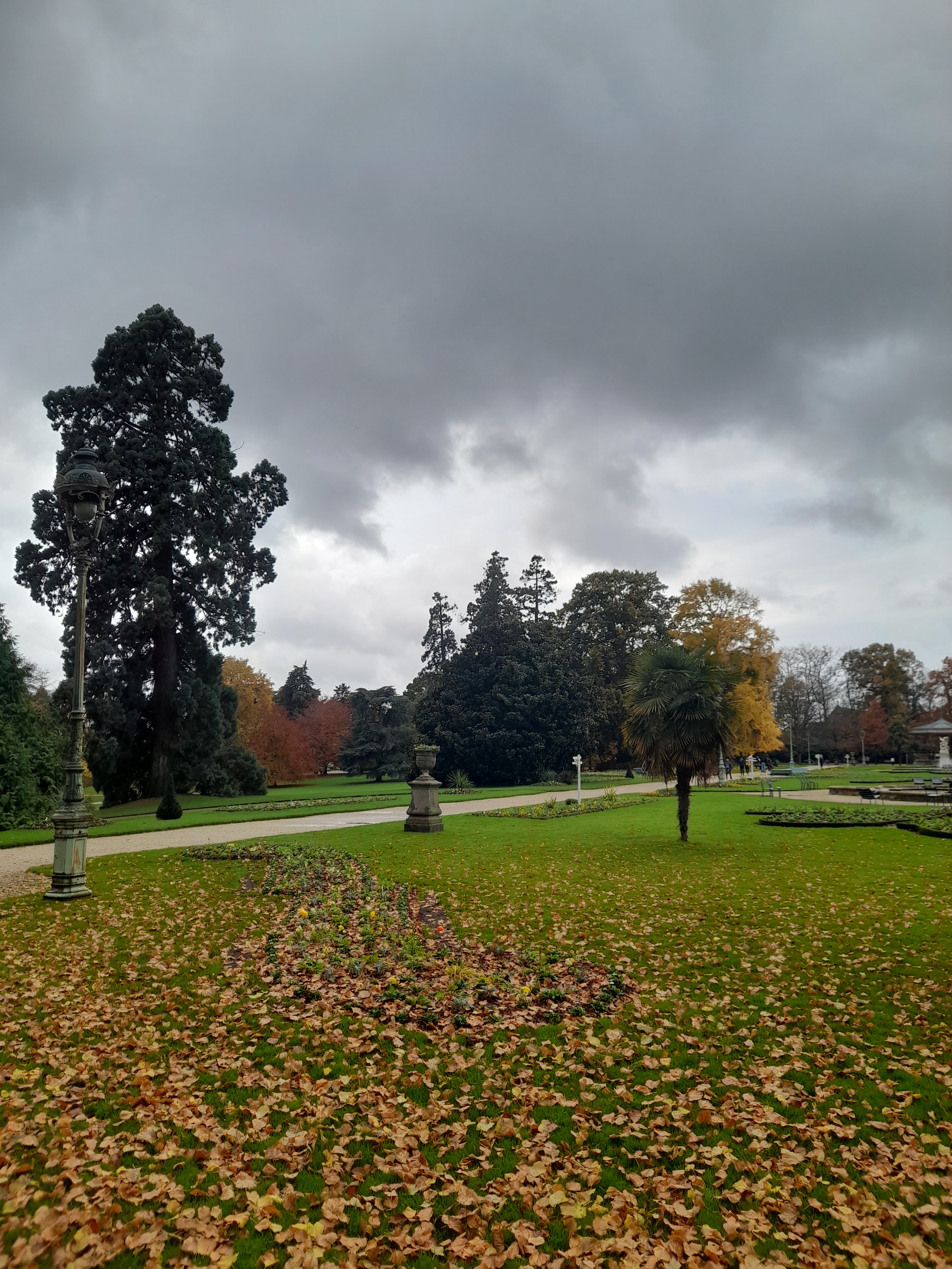 Photo n° 8 de l'avis de Mathis.o fait le 21/11/2021 à 20:49