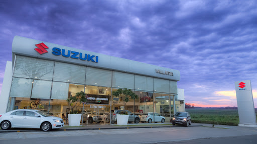 Suzuki Camcar Vallarta