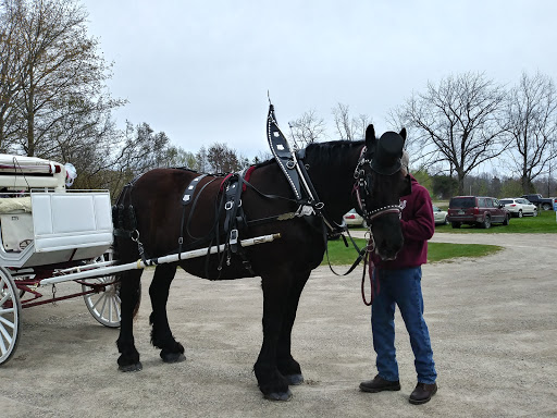 Historical Place Museum «Sanilac County Historic Village & Museum», reviews and photos, 228 South Ridge Street, Port Sanilac, MI 48469, USA