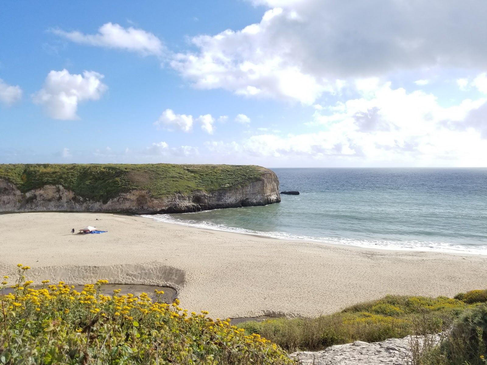 Foto van Bonny Doon Beach wilde omgeving