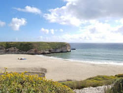 Foto von Bonny Doon Beach wilde gegend