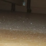 Photo n°31 de l'avis de Paris.i fait le 31/07/2020 à 11:46 sur le  Hotel Residence dei Fiori - Lago Maggiore Baveno à Baveno