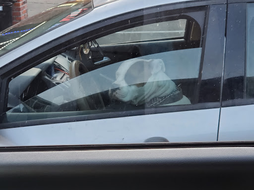 Tobacco Shop «Sadeen smoke shop», reviews and photos, 2418 N Monroe St, Tallahassee, FL 32303, USA