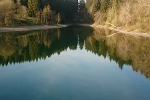 Oberer Eschenbacher Teich image