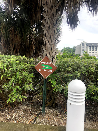 Museum «Tampa Bay History Center», reviews and photos, 801 Old Water St, Tampa, FL 33602, USA