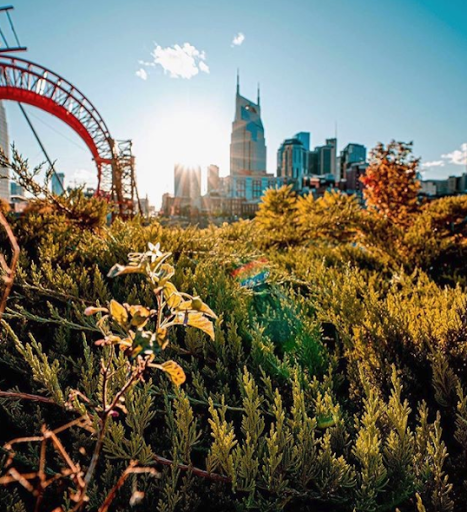 Real Estate Agency «The Anderson Group Real Estate Services», reviews and photos, 30 Burton Hills Blvd #400, Nashville, TN 37215, USA