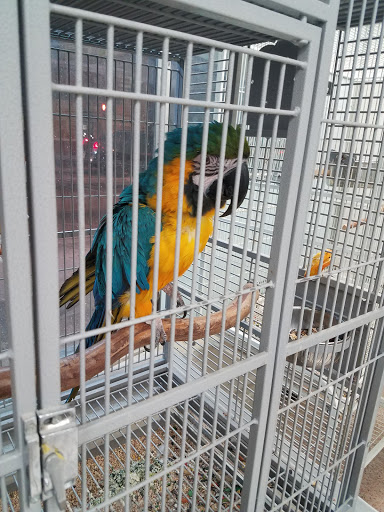 Pet Store «El Palomar Pet Shop Inc», reviews and photos, 4712 W Flagler St, Coral Gables, FL 33134, USA