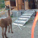 Photo n°1 de l'avis de Lucia. fait le 14/06/2023 à 18:42 sur le  Hotel la Grange à Entrèves, Courmayeur