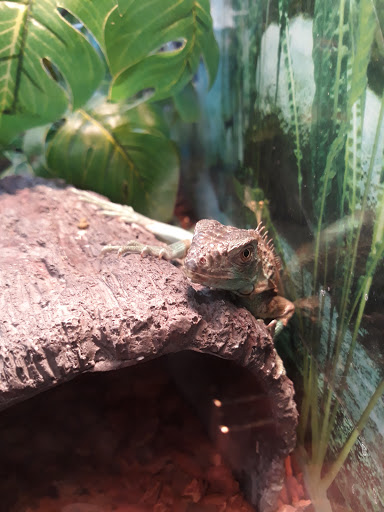 Pet Supply Store «Petco Animal Supplies», reviews and photos, 2621 MacArthur Rd, Whitehall, PA 18052, USA