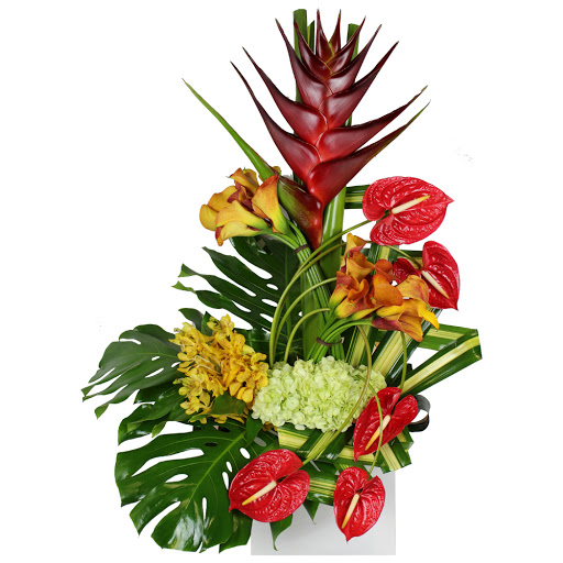 Florist «Amazing Flowers Miami», reviews and photos, 252 Sunny Isles Blvd #2b, Sunny Isles Beach, FL 33160, USA