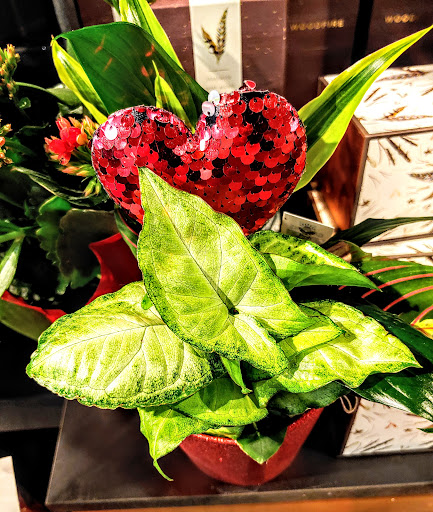 Grocery Store «Harmons», reviews and photos, 7755 700 E, Midvale, UT 84047, USA