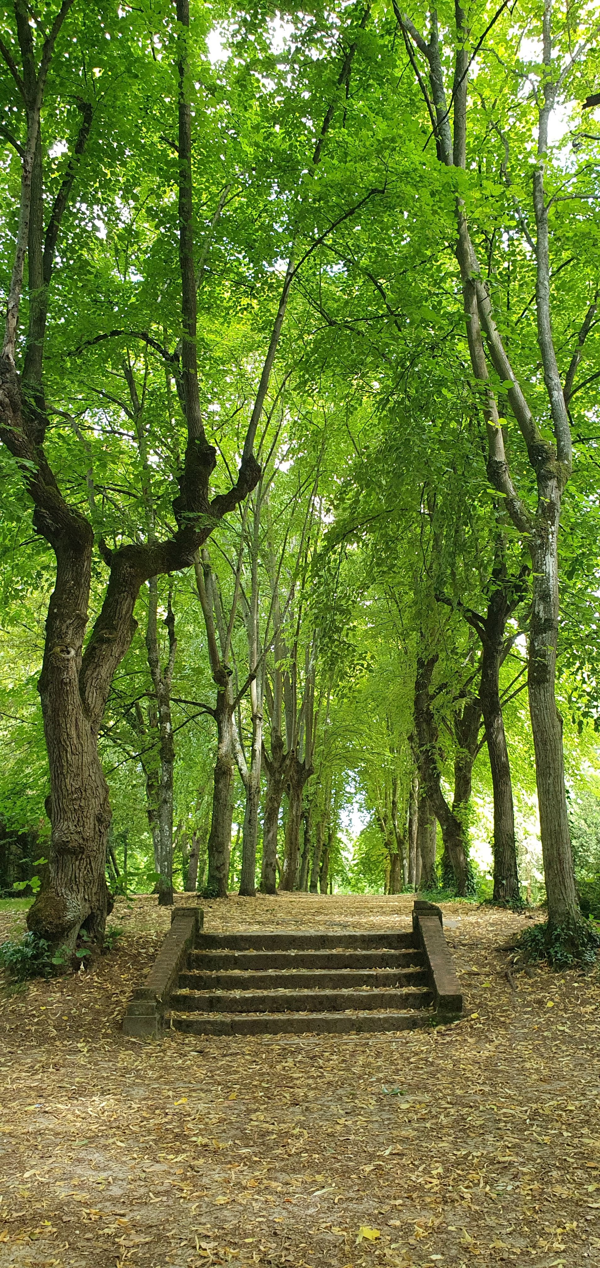 Photo n° 3 de l'avis de Paparazzi.x fait le 23/07/2023 à 08:48