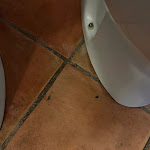 Photo n°10 de l'avis de Aras. fait le 21/08/2023 à 13:21 sur le  Santa Maria Resort - Hotel à Orosei