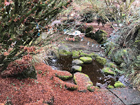 EnviroPro Landscaping - Photo 5 - Car repair in Vancouver, WA, Vancouver