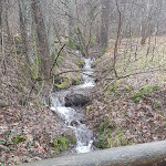 Photo n°7 de l'avis de Bine.d fait le 05/02/2020 à 23:10 sur le  Waldgaststätte Rinderstall im Nationalpark Harz à Sankt Andreasberg