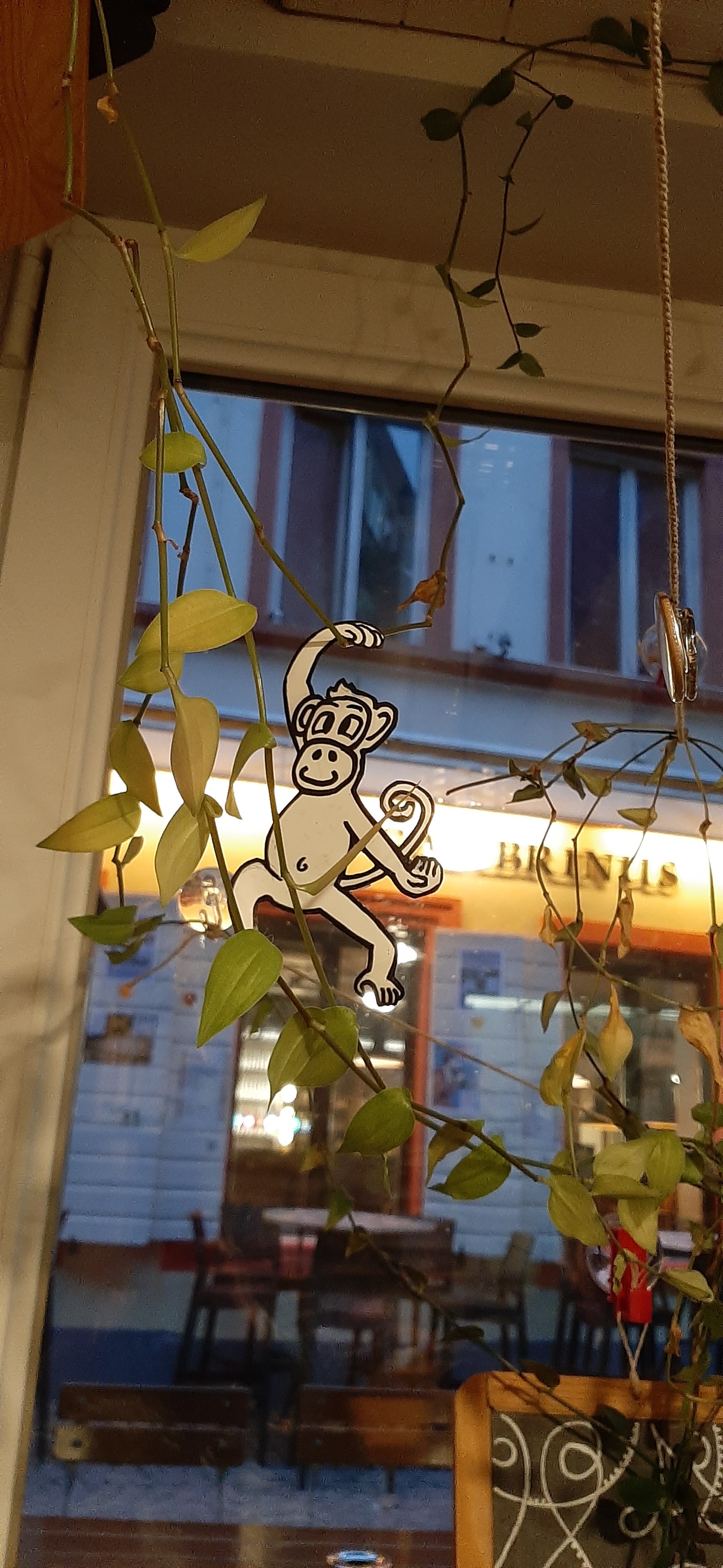 Photo n° 2 de l'avis de -.i fait le 12/11/2021 à 18:35