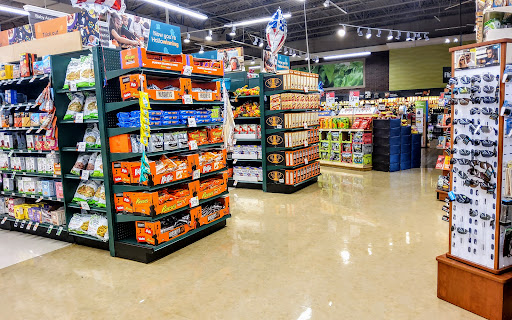 Grocery Store «Giant Food Stores», reviews and photos, 310 S Henderson Rd, King of Prussia, PA 19406, USA