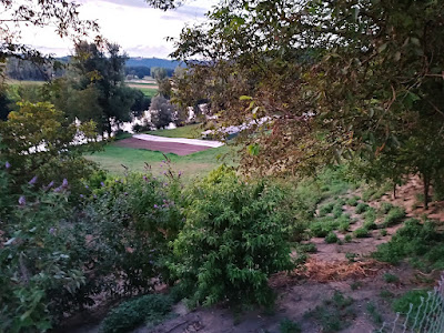 Les Légumes de la Rive à Decazeville