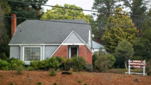 Animal Dermatology Clinic