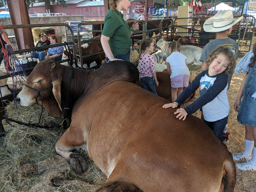 Fairground «Clackamas County Fairgrounds», reviews and photos, 694 NE 4th Ave, Canby, OR 97013, USA