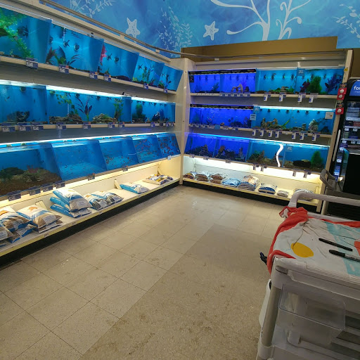 Pet Supply Store «PetSmart», reviews and photos, 3425 Amelia Dr, Orchard Park, NY 14127, USA