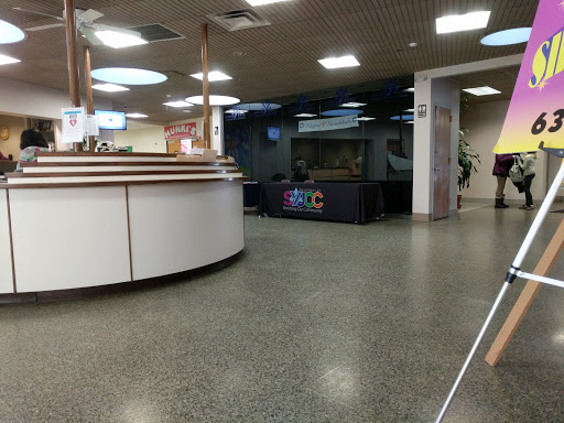 Community Center «The Suffolk Y JCC - SYJCC», reviews and photos, 74 Hauppauge Rd, Commack, NY 11725, USA