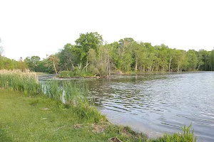 Ann Lee Pond Nature and Historic Preserve image