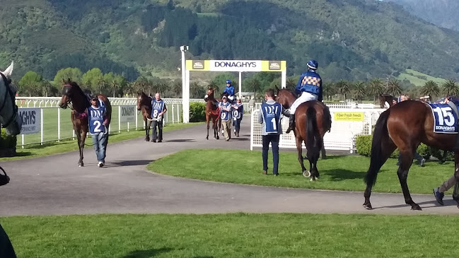 Comments and reviews of Racing Te Aroha
