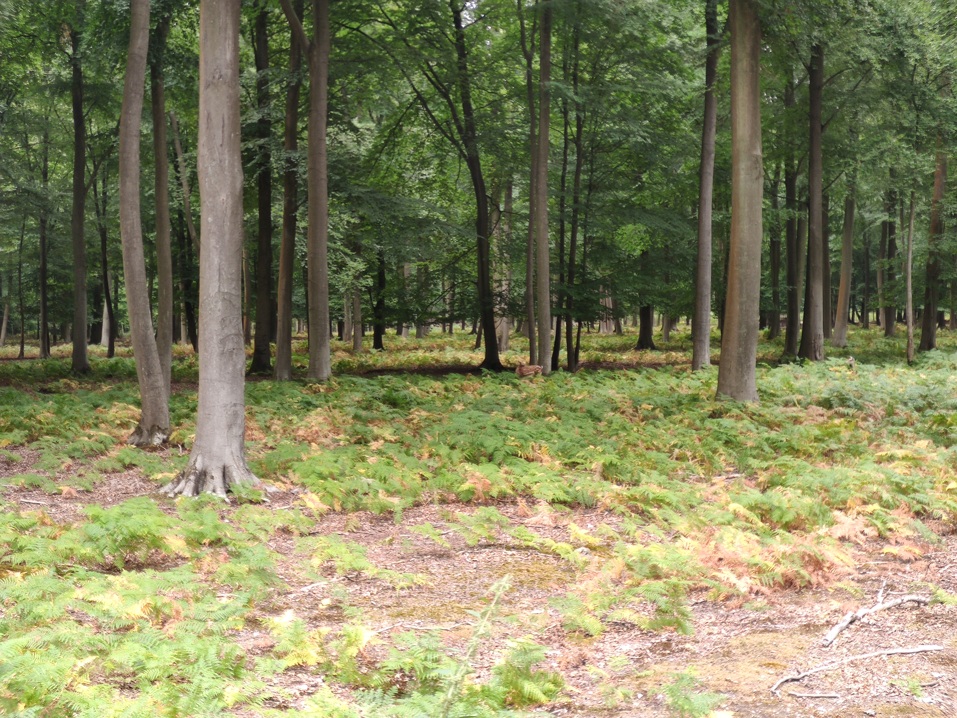 Photo n° 12 de l'avis de LAMBERT.r fait le 16/08/2022 à 19:17